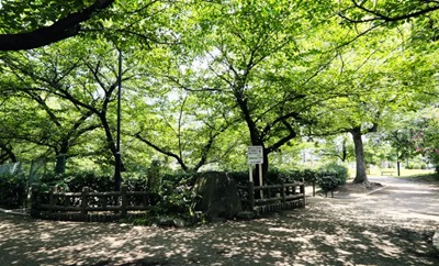 向泉寺公園