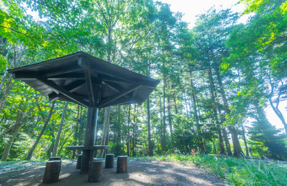 伊勢山自然公園