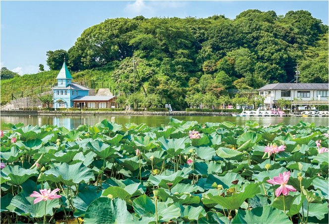 蓮華寺池公園
