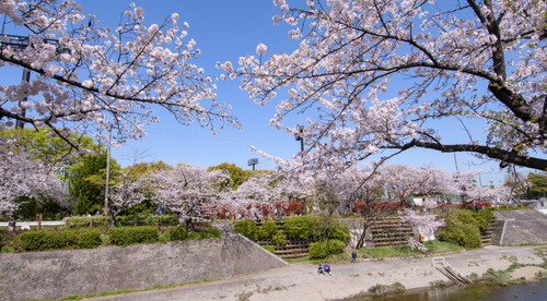 山崎川