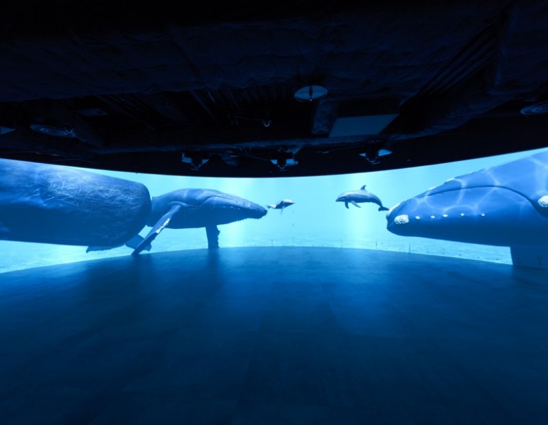 カワスイ 川崎水族館