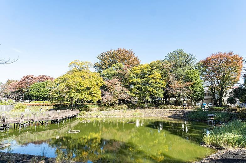 文庫の森
