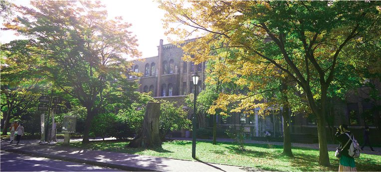北海道大学