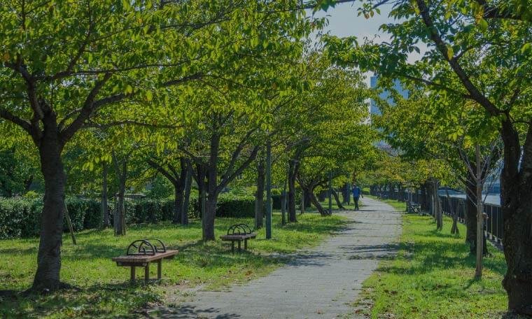 毛馬桜之宮公園