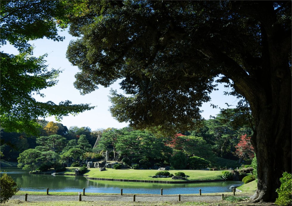 六義園