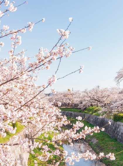 山崎川