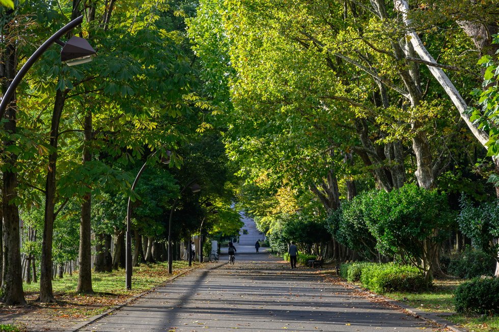 都立光が丘公園