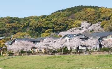 高見三条さくら公園