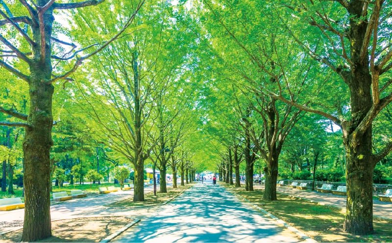 光が丘公園