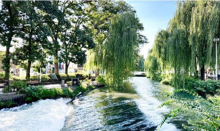 広瀬川河畔緑地