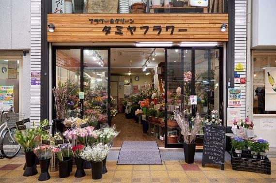 タミヤフラワー