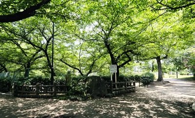 向泉寺公園