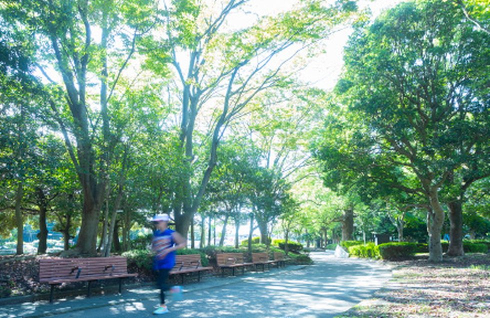海老名運動公園