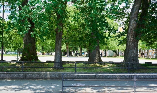 冷泉公園