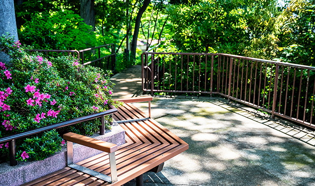 おとめ山公園