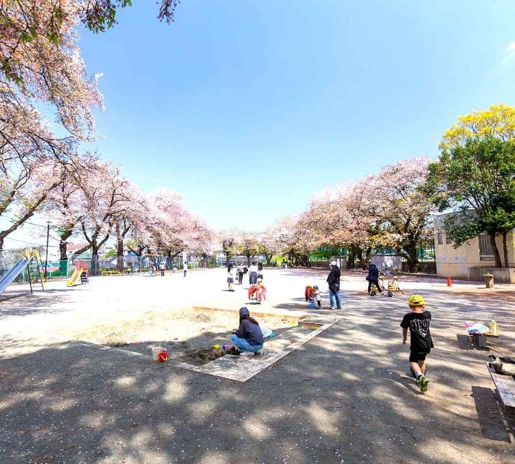 町田中央公園