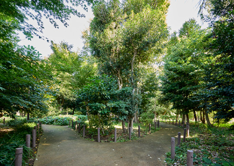 佐伯山緑地