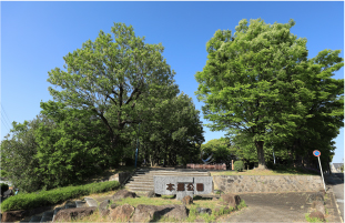 本郷公園