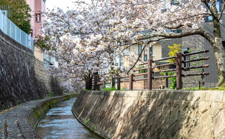 新堀川