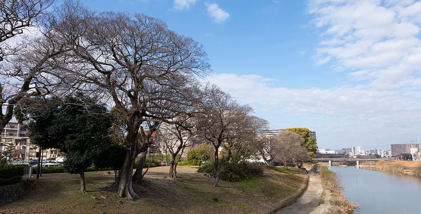 那珂川河川緑地