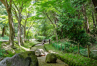 春の風公園
