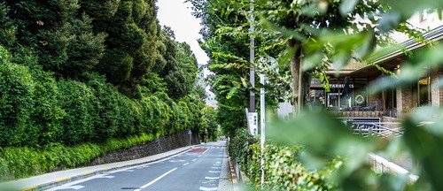 学習院椿の坂