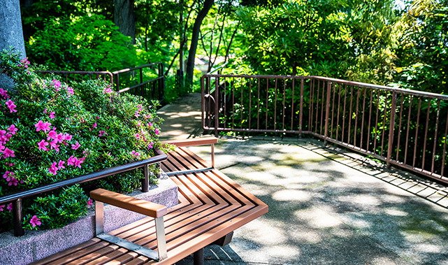 おとめ山公園