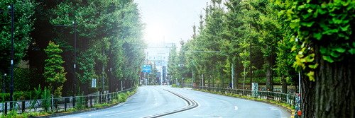 目白通り
