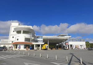道の駅かでな