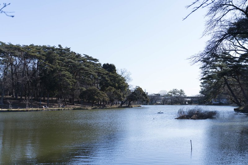 大宮公園