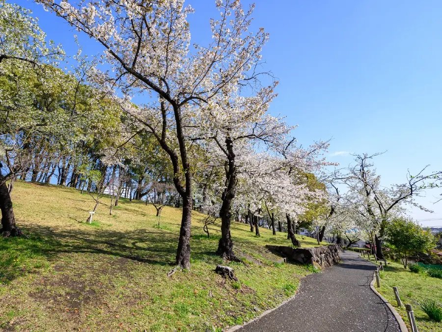 常盤公園