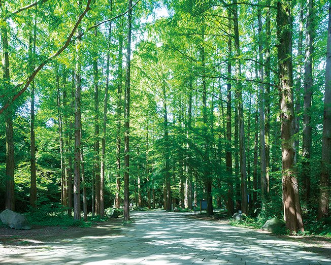 生田緑地