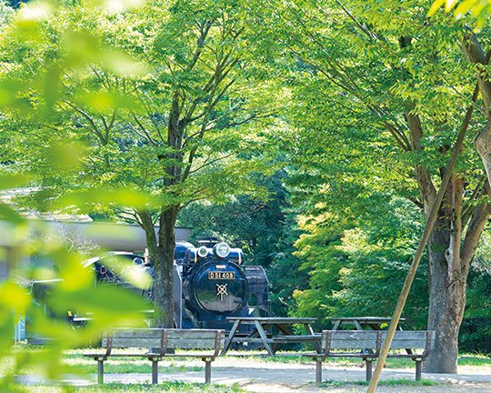D51(蒸気機関車)