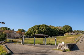 樹木公園