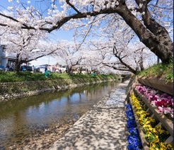 五条川／尾北自然歩道