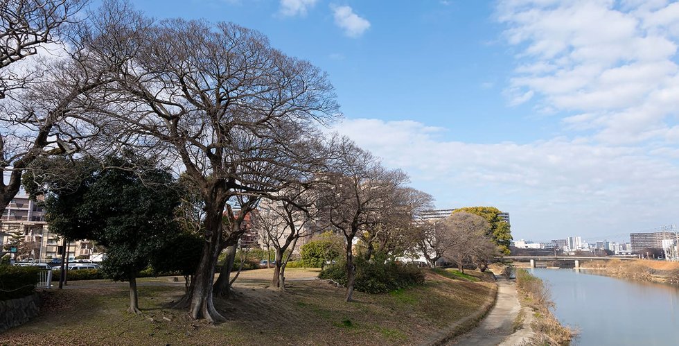那珂川河川緑地