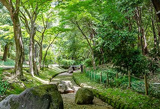 春の風公園