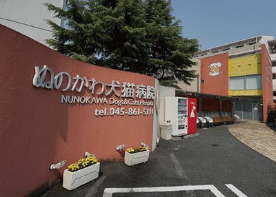 ぬのかわ犬猫病院 戸塚本院