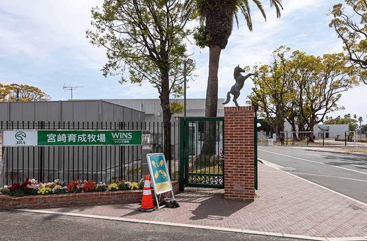 JRA宮崎育成牧場