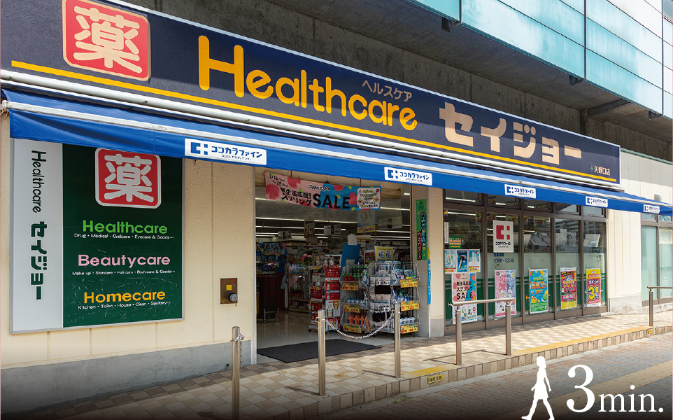 ヘルスケアセイジョー矢野口店