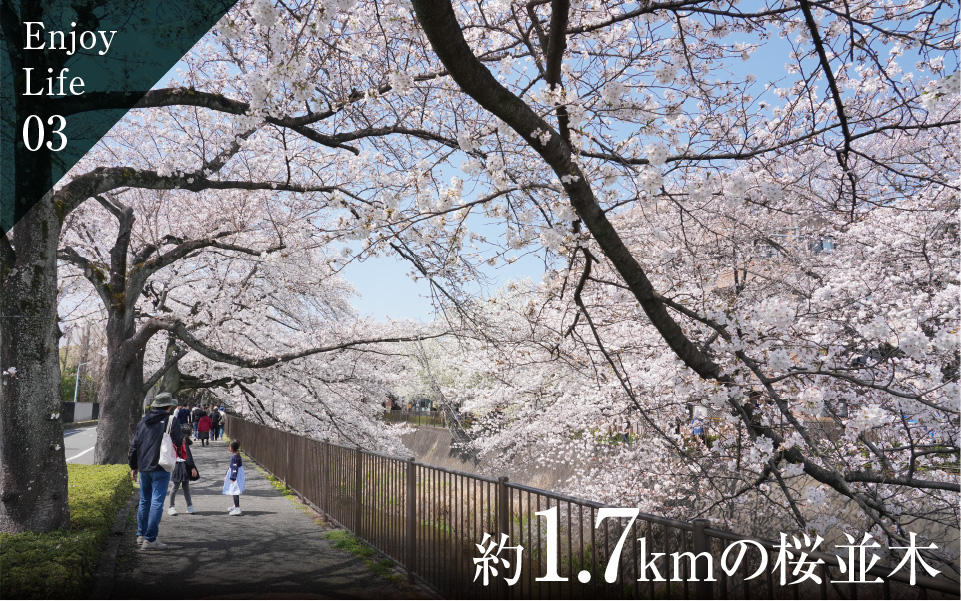 三沢川親水公園