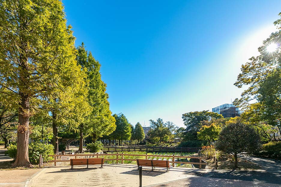 しょうぶ沼公園