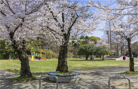 パロマ瑞穂スポーツパーク(瑞穂公園)
