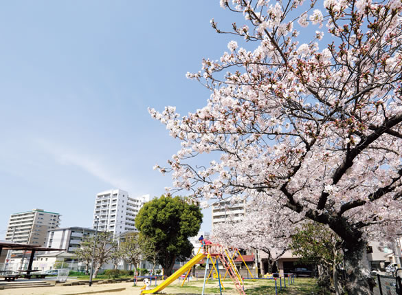 宮西公園