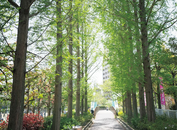 上ヶ池公園