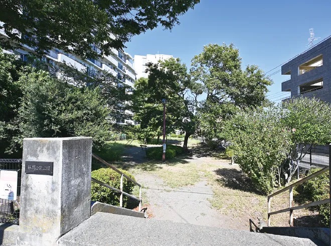 林間白笹公園