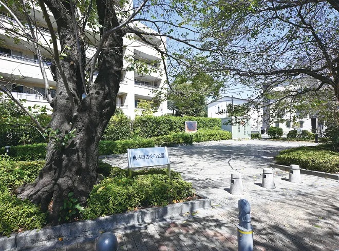 東林間さくら公園