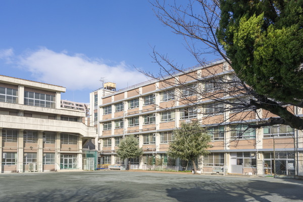 市立 橘小学校