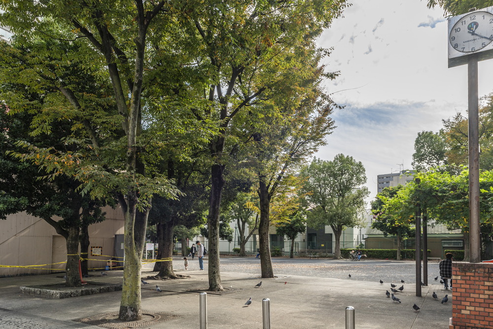 諏訪公園