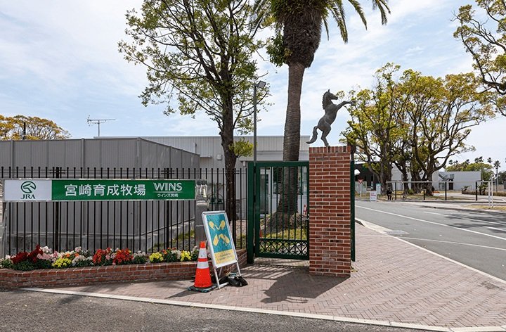 JRA宮崎育成牧場